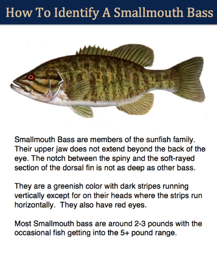 fishing planet oregon smallmouth bass